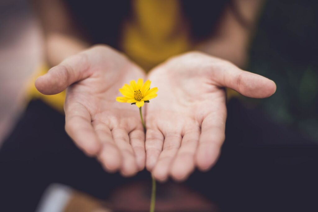 meditation works the way your mind works hands hold a flower